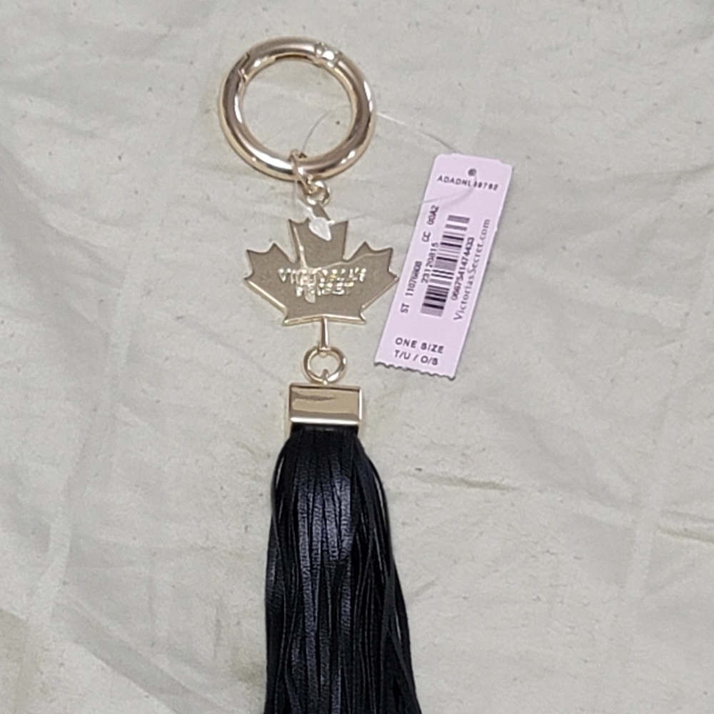VS keychain